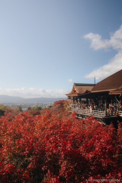 Kiyomizu-Dera Temple wooden terrace overlooking autumn leaves and Kyoto city