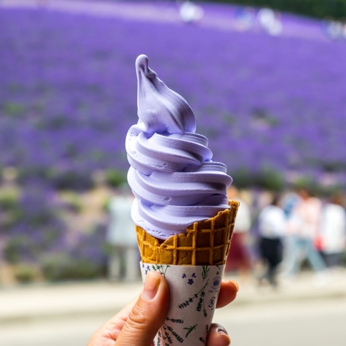 lavender ice cream on a cone in front of lavender field