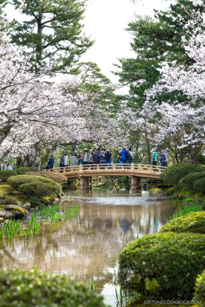 Park stream lined with cherry blossoms with people crossing a bridge