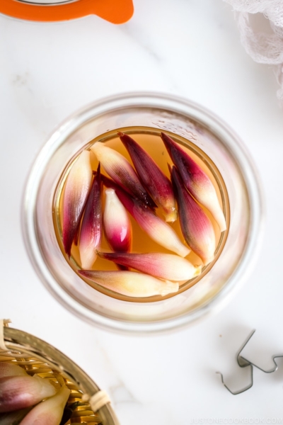 A Weck jar containing Japanese ginger sweet pickles (Myoga Amazuzuke).