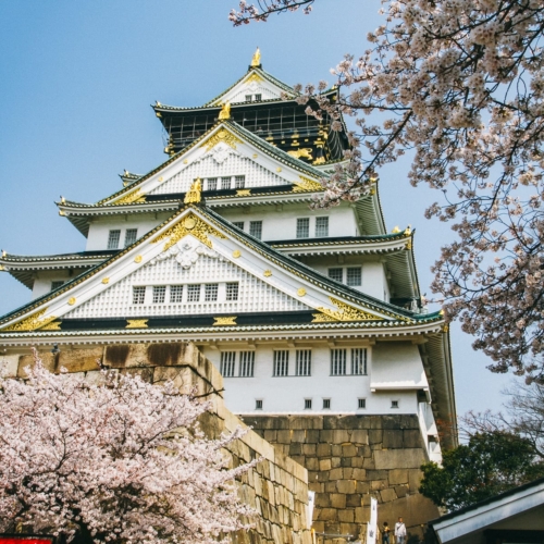 Osaka Castle in the spring