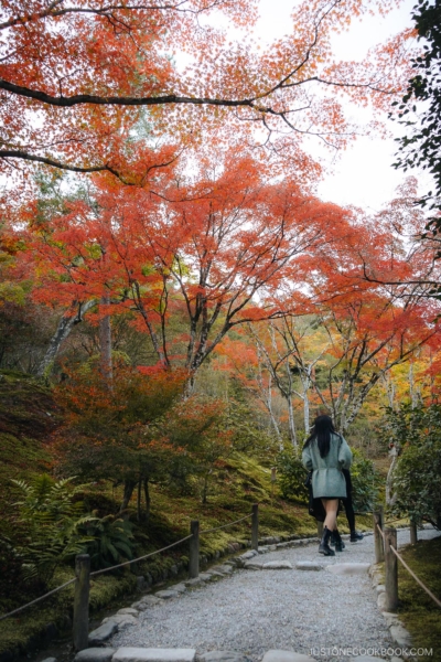 Stone pathway with overhanging autumn leaves