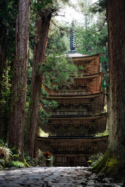 Five story wooden pagoda surrounded by cedar trees